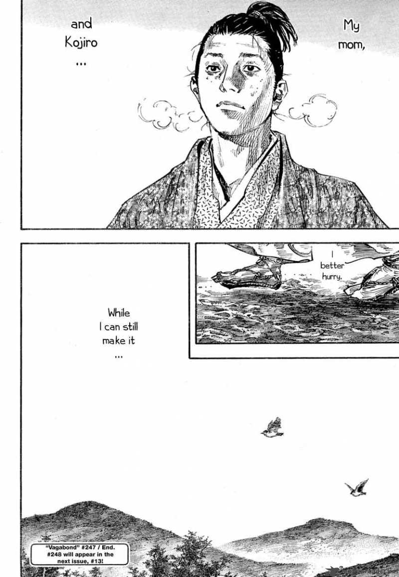 Vagabond 248 17