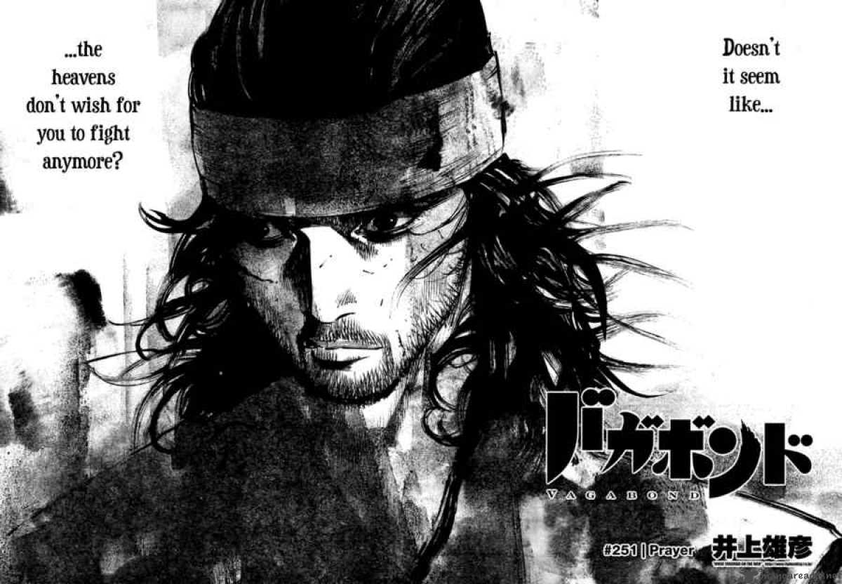 Vagabond 251 2