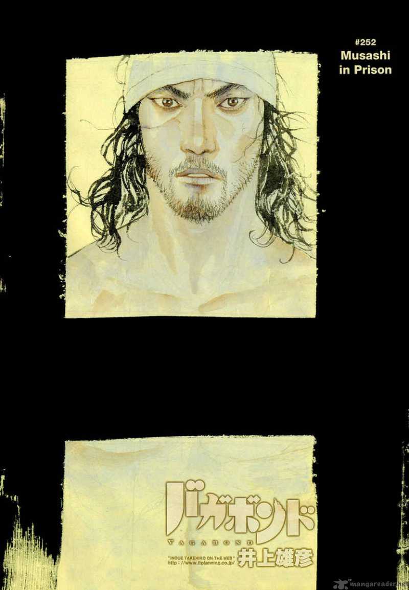 Vagabond 252 3