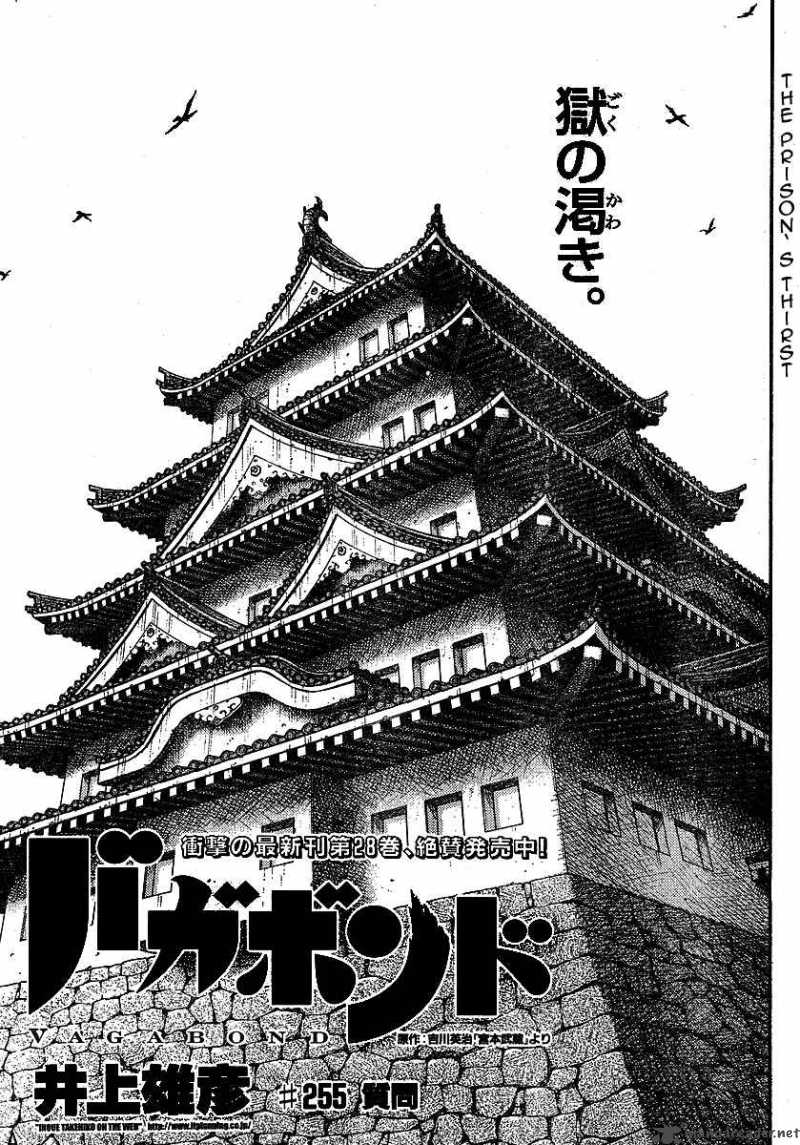 Vagabond 255 1