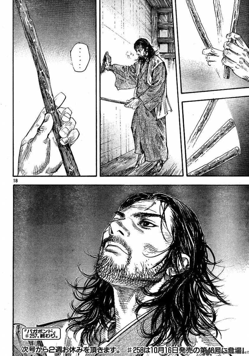 Vagabond 257 18