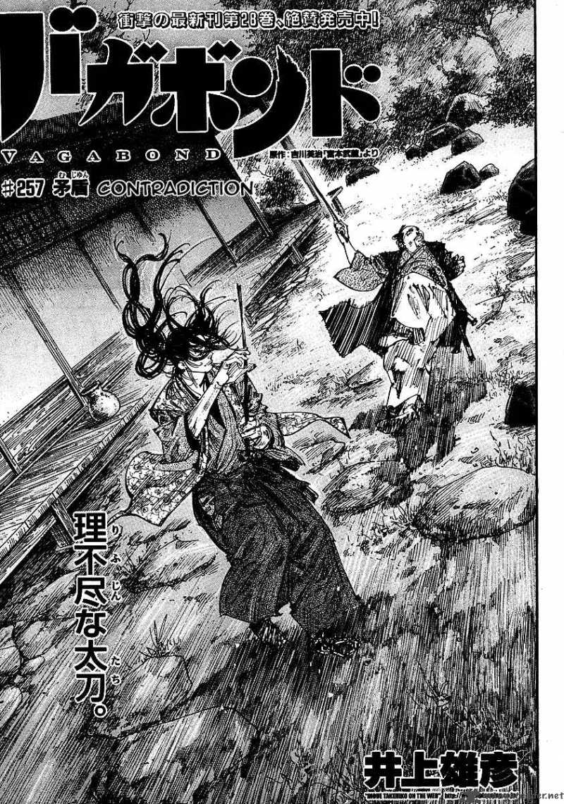 Vagabond 257 3