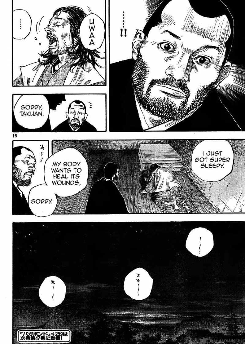 Vagabond 258 16