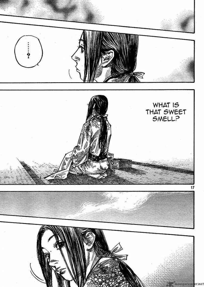 Vagabond 259 17