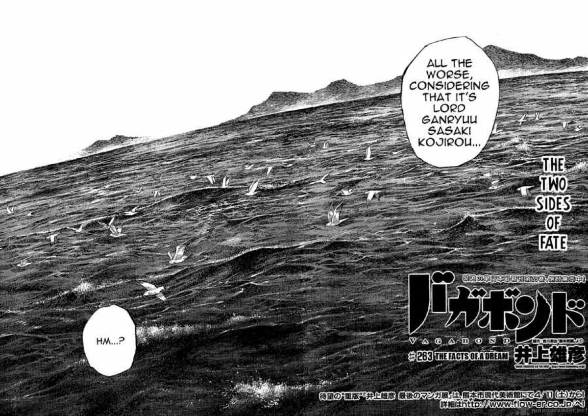 Vagabond 263 2