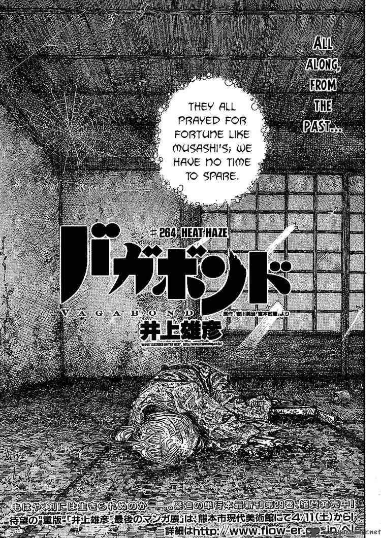 Vagabond 264 1