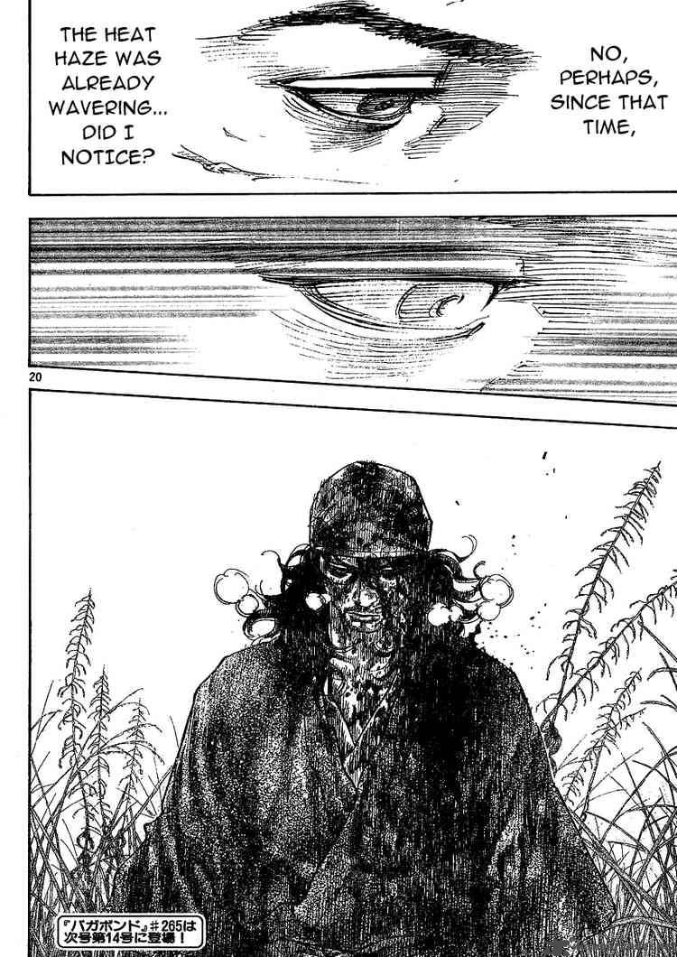 Vagabond 264 19