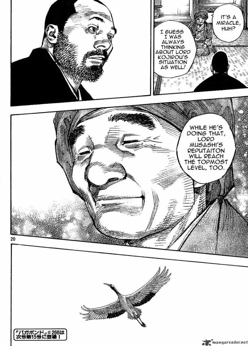 Vagabond 265 19
