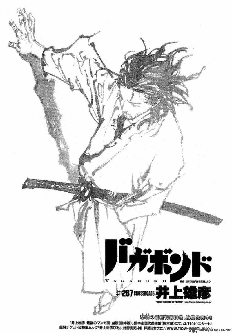 Vagabond 267 1
