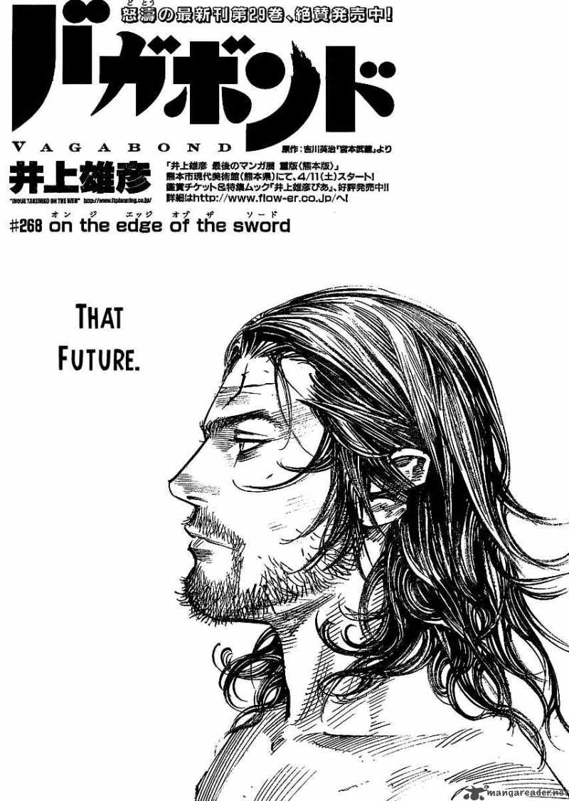 Vagabond 268 1