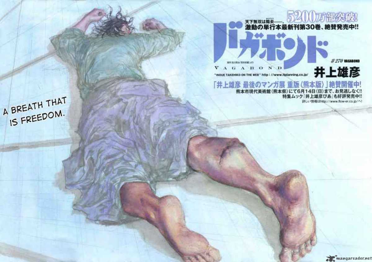 Vagabond 270 3