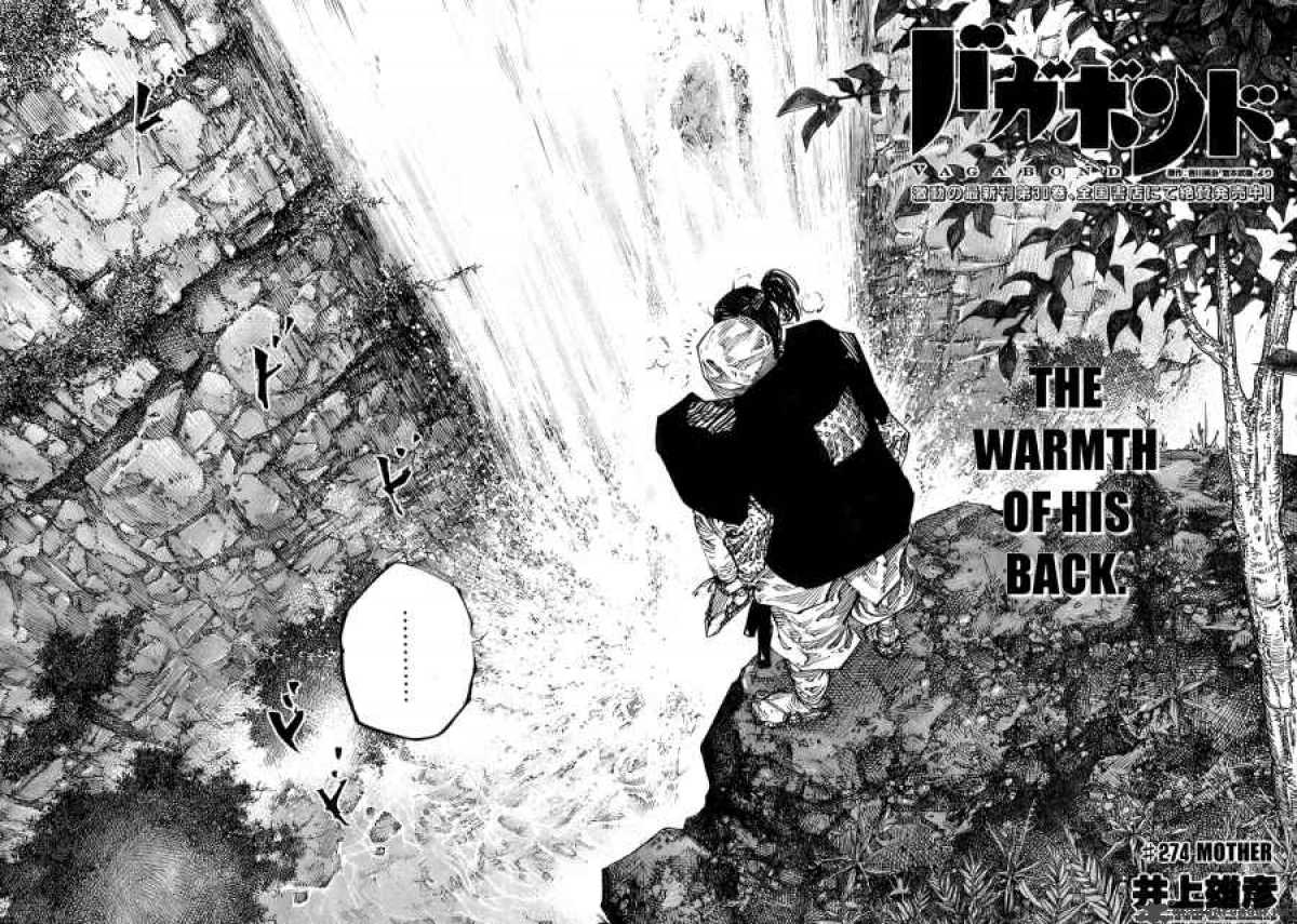 Vagabond 274 2