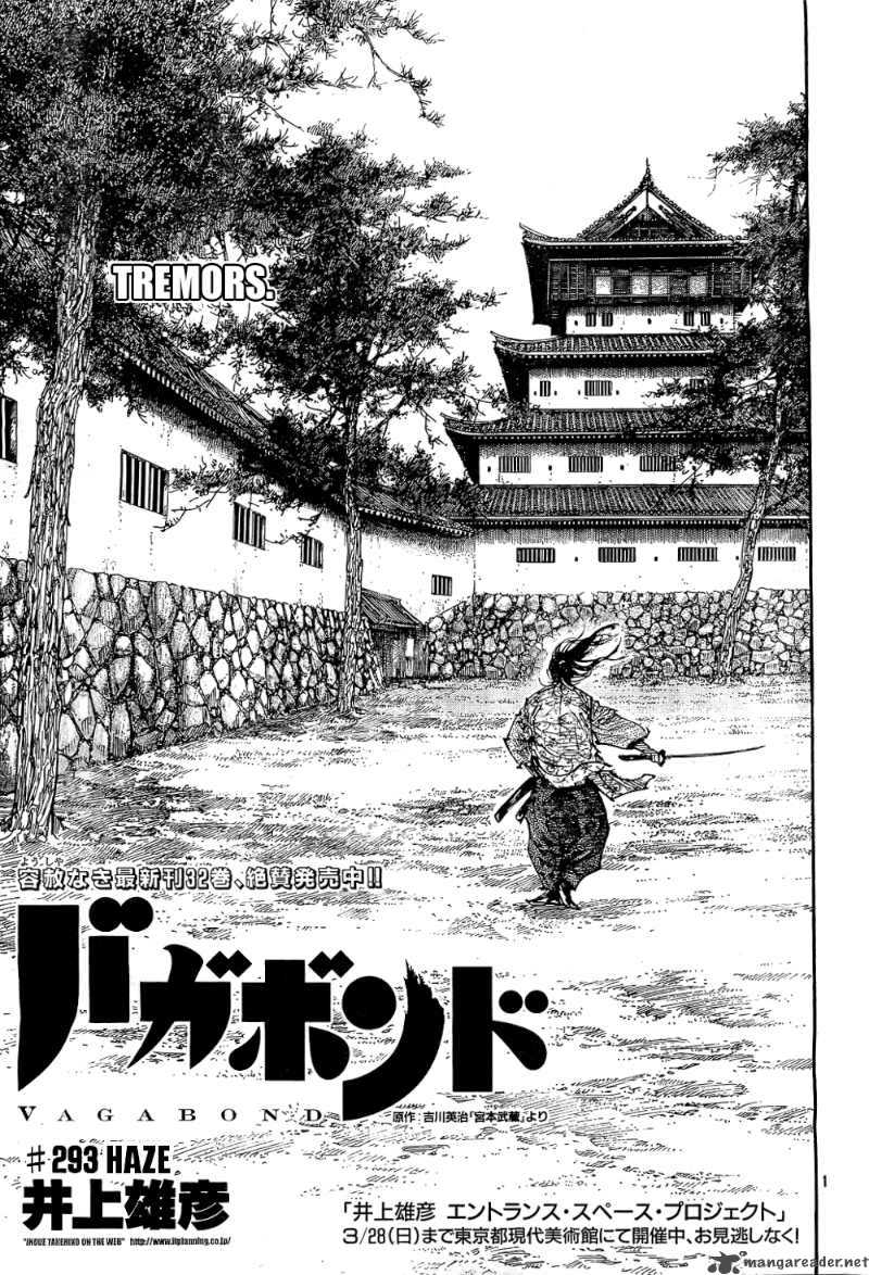 Vagabond 293 1