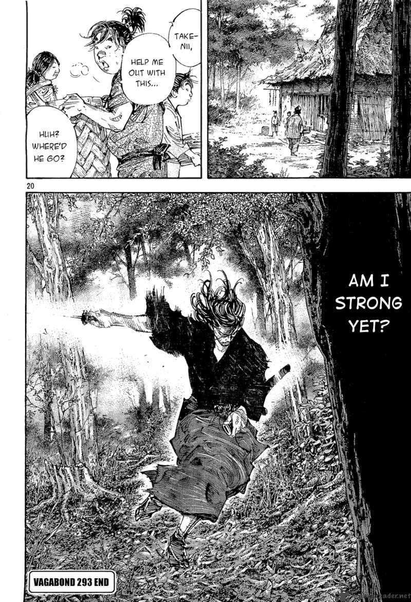 Vagabond 293 20