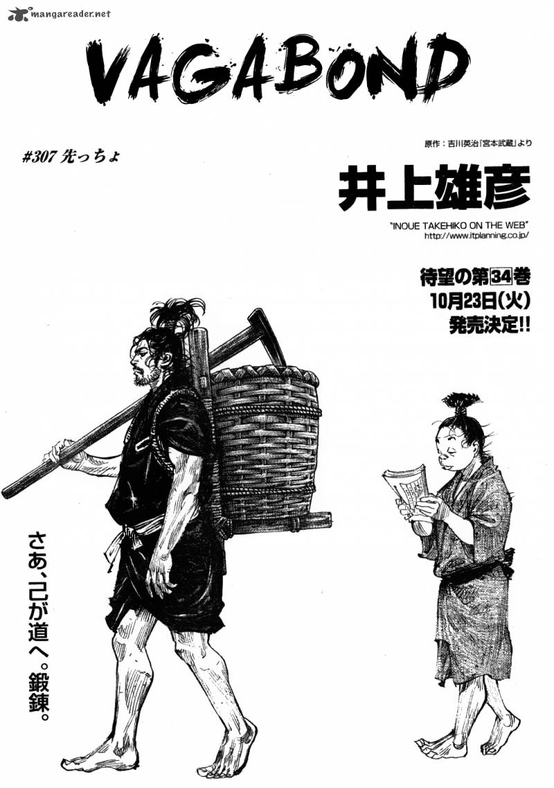 Vagabond 307 1