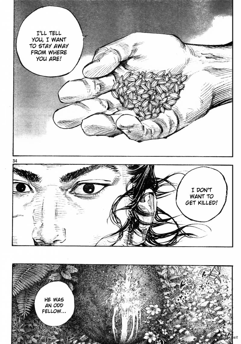 Vagabond 307 34