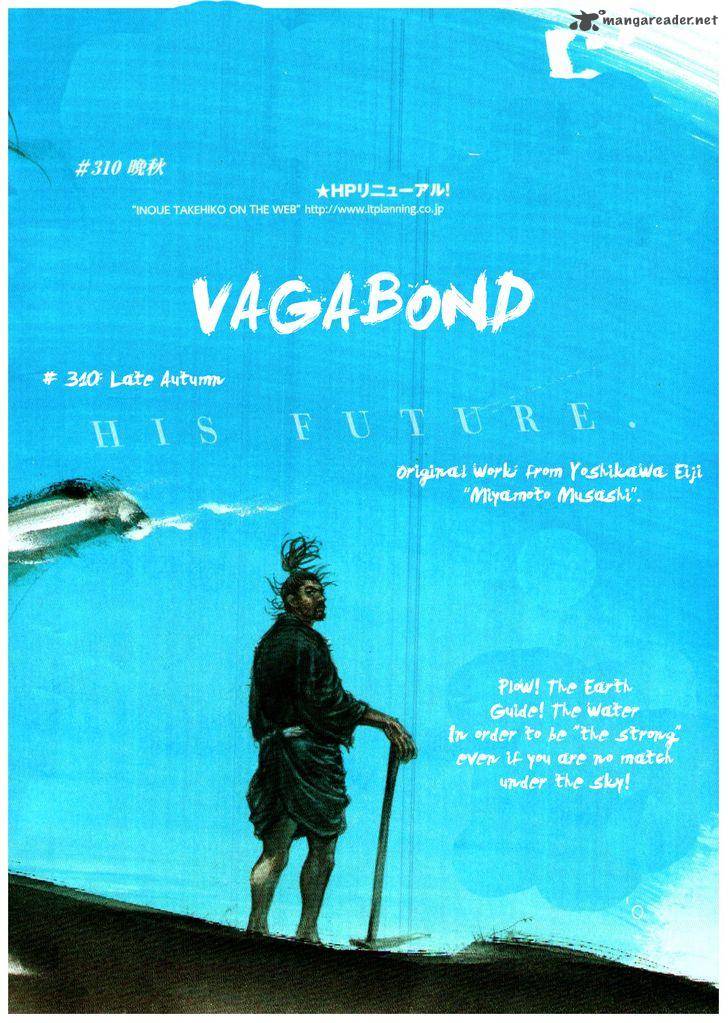 Vagabond 310 2