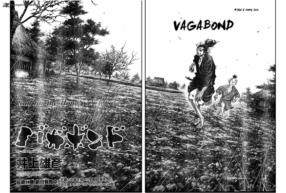Vagabond 311 2