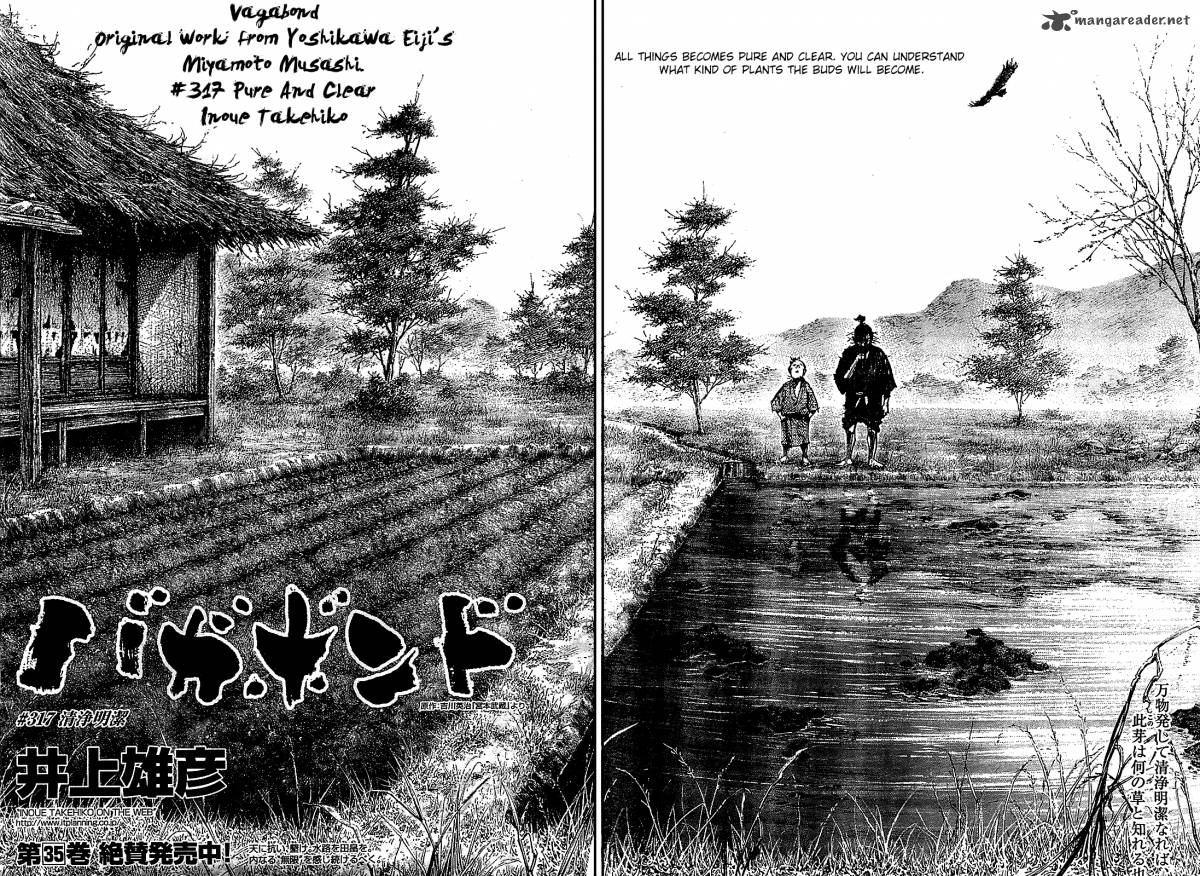 Vagabond 317 2