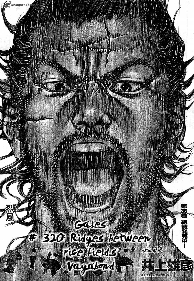 Vagabond 320 1