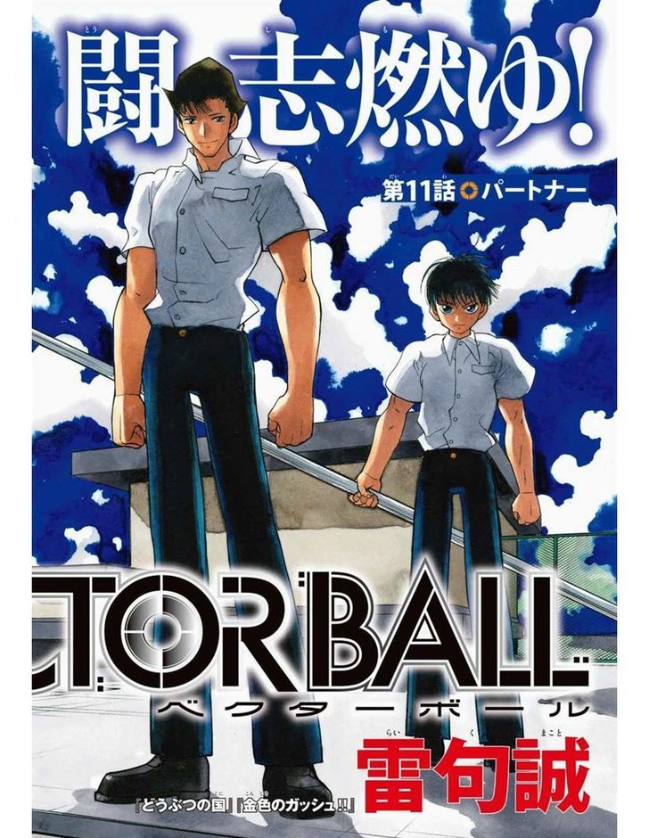Vector Ball 11 5