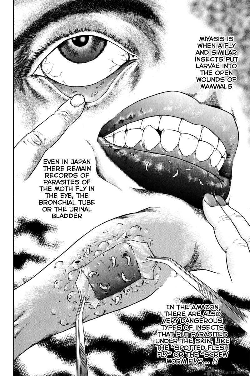 Vector Case File Inaho No Konchuuki 1 34