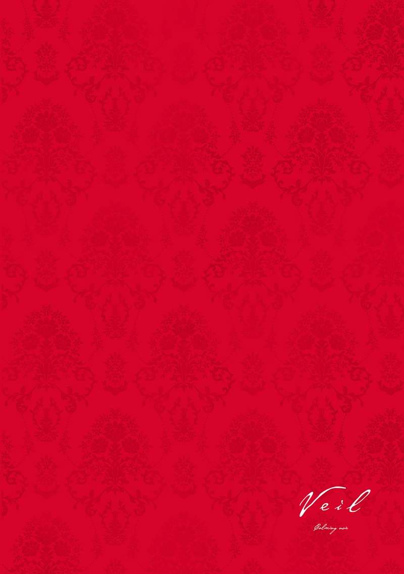 Veil 24 10