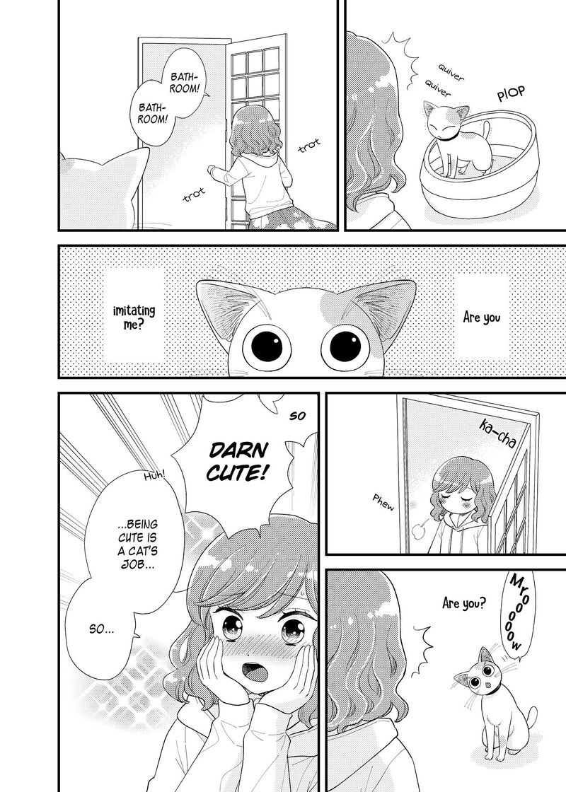 Watashi No KawaII Koneko Chan 18e 2