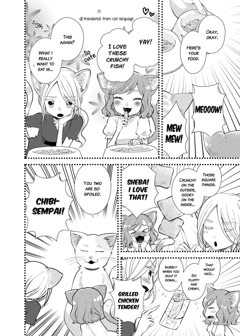 Watashi No KawaII Koneko Chan 8 3