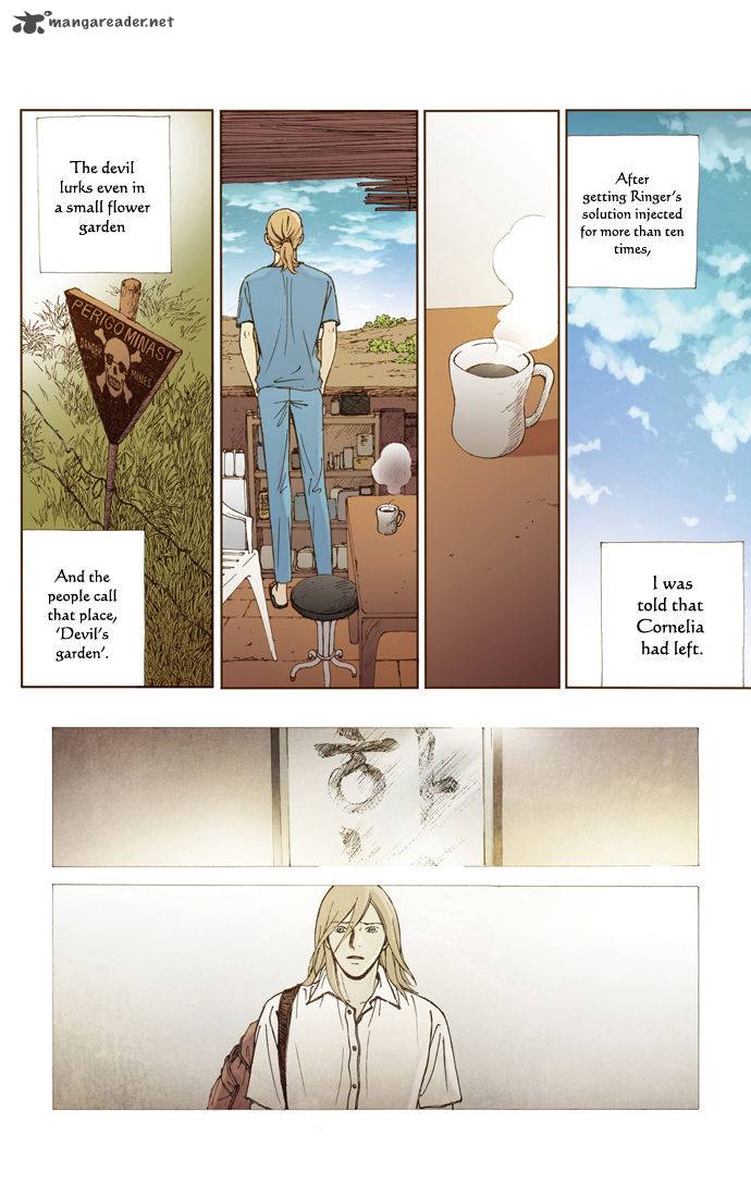 Westwood Vibrato 36 7