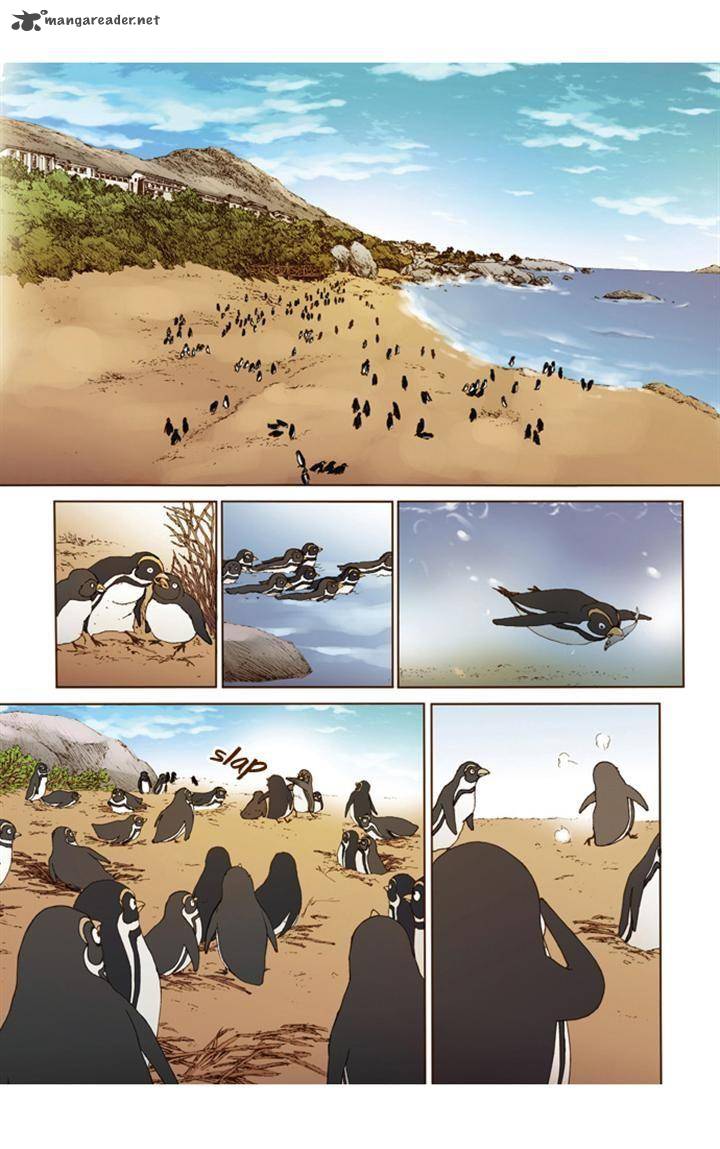 Westwood Vibrato 44 2