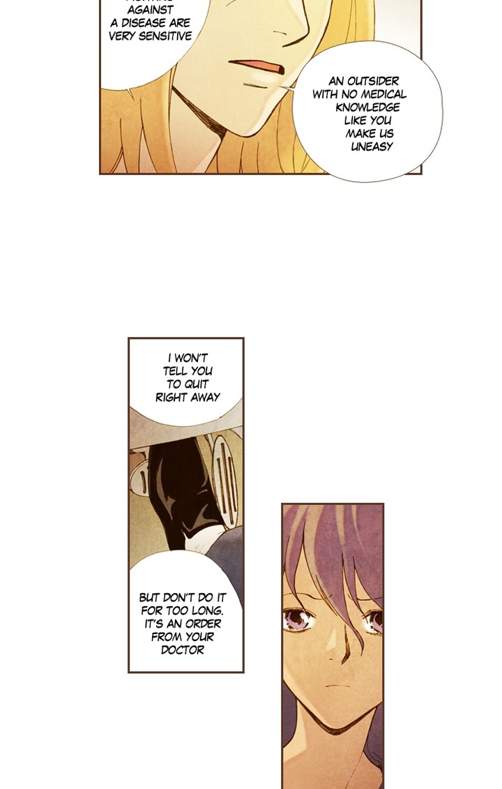 Westwood Vibrato 46 33