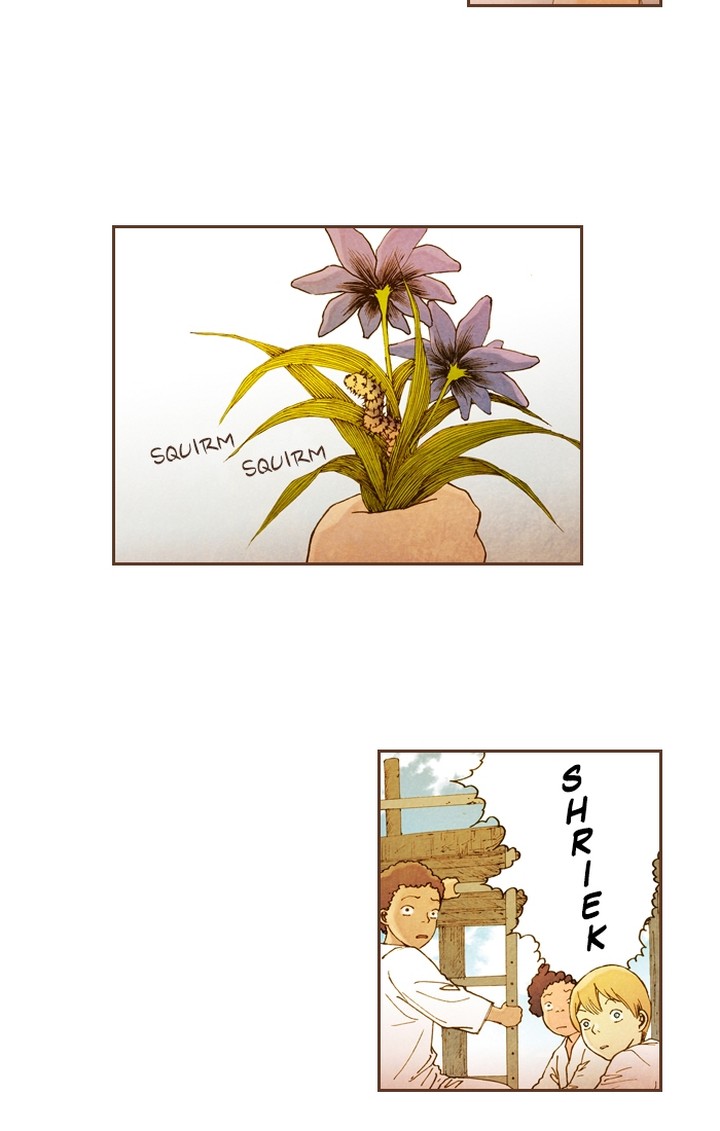 Westwood Vibrato 46 6