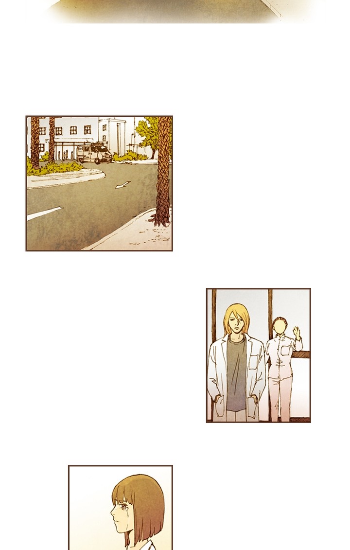 Westwood Vibrato 48 14