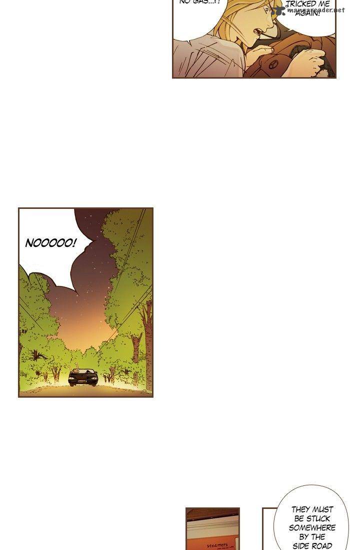 Westwood Vibrato 52 6