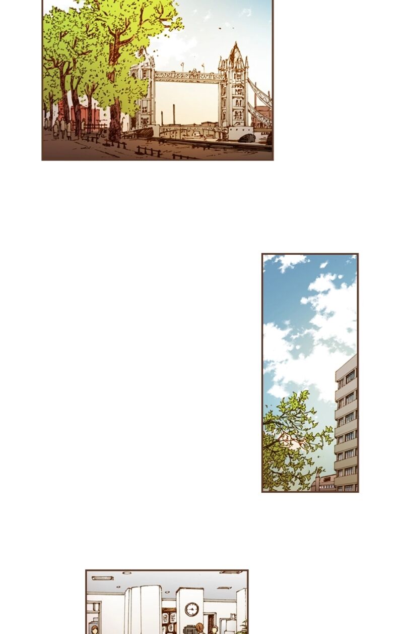 Westwood Vibrato 61 12