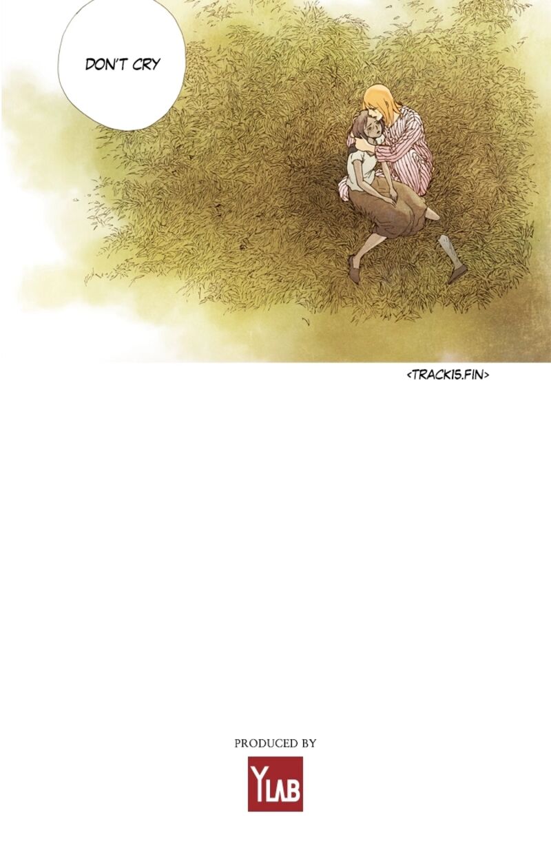 Westwood Vibrato 61 19