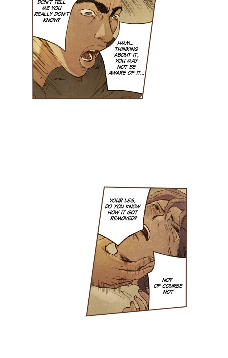 Westwood Vibrato 61 3