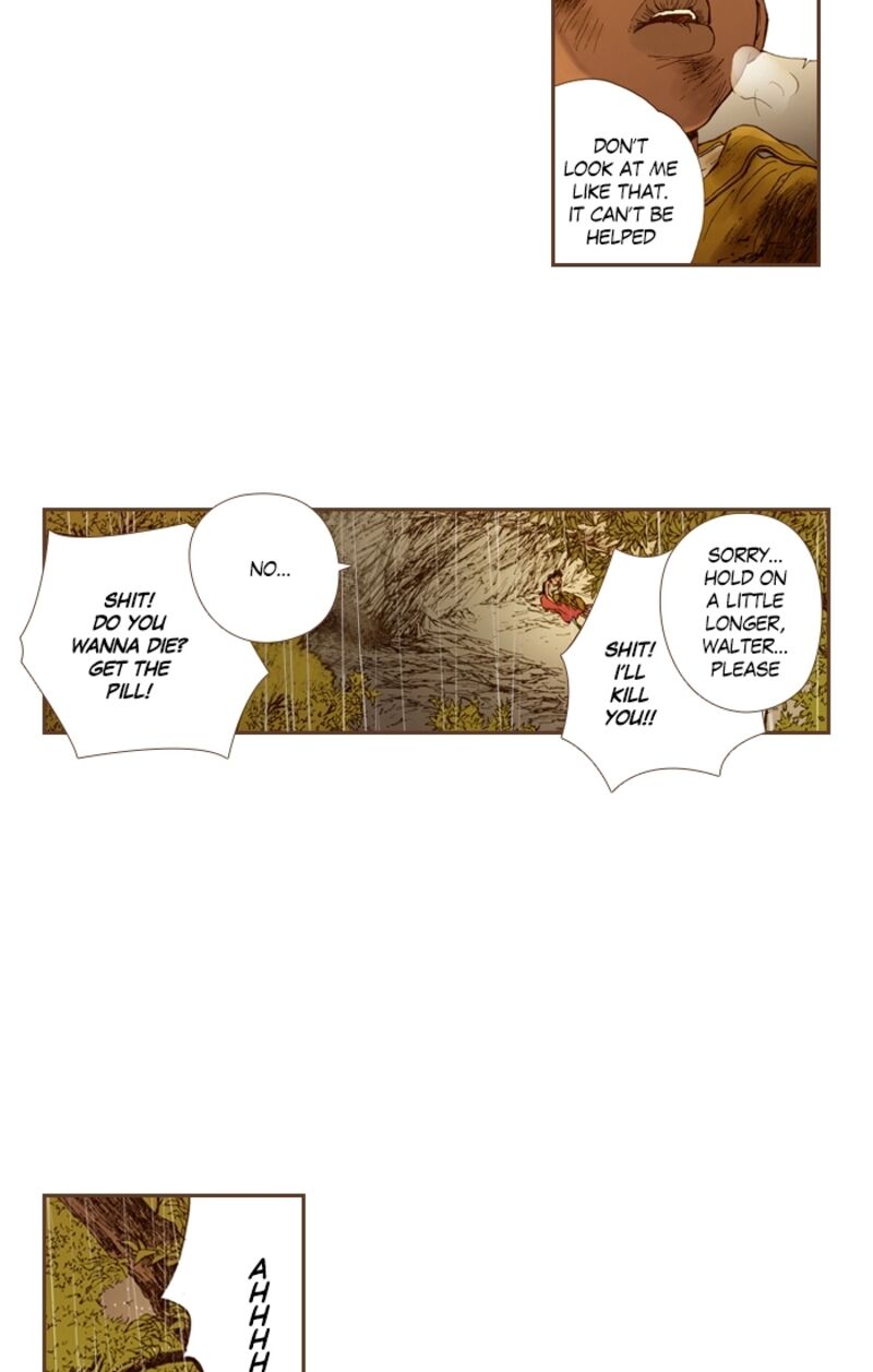 Westwood Vibrato 66 18