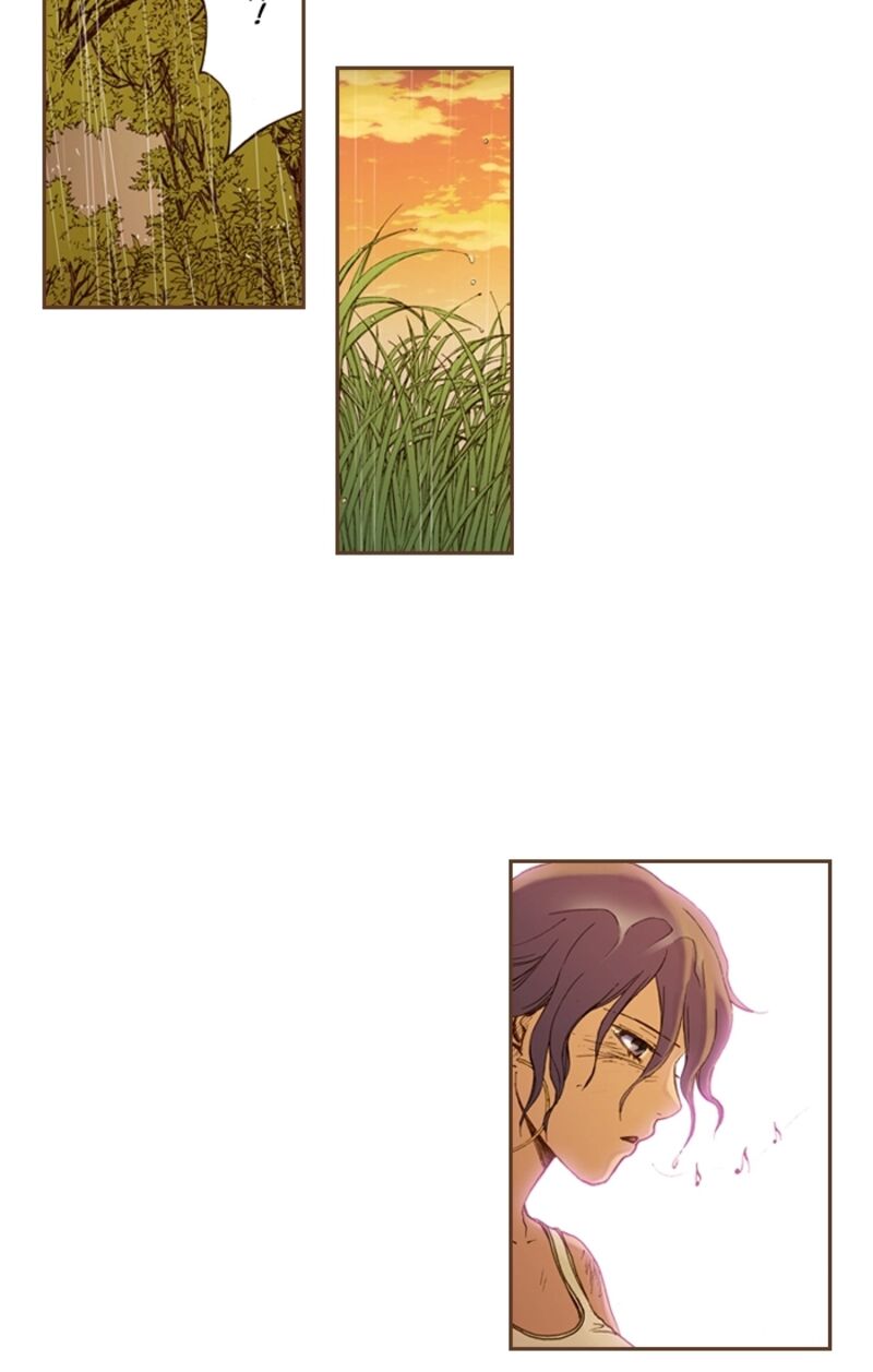 Westwood Vibrato 66 19