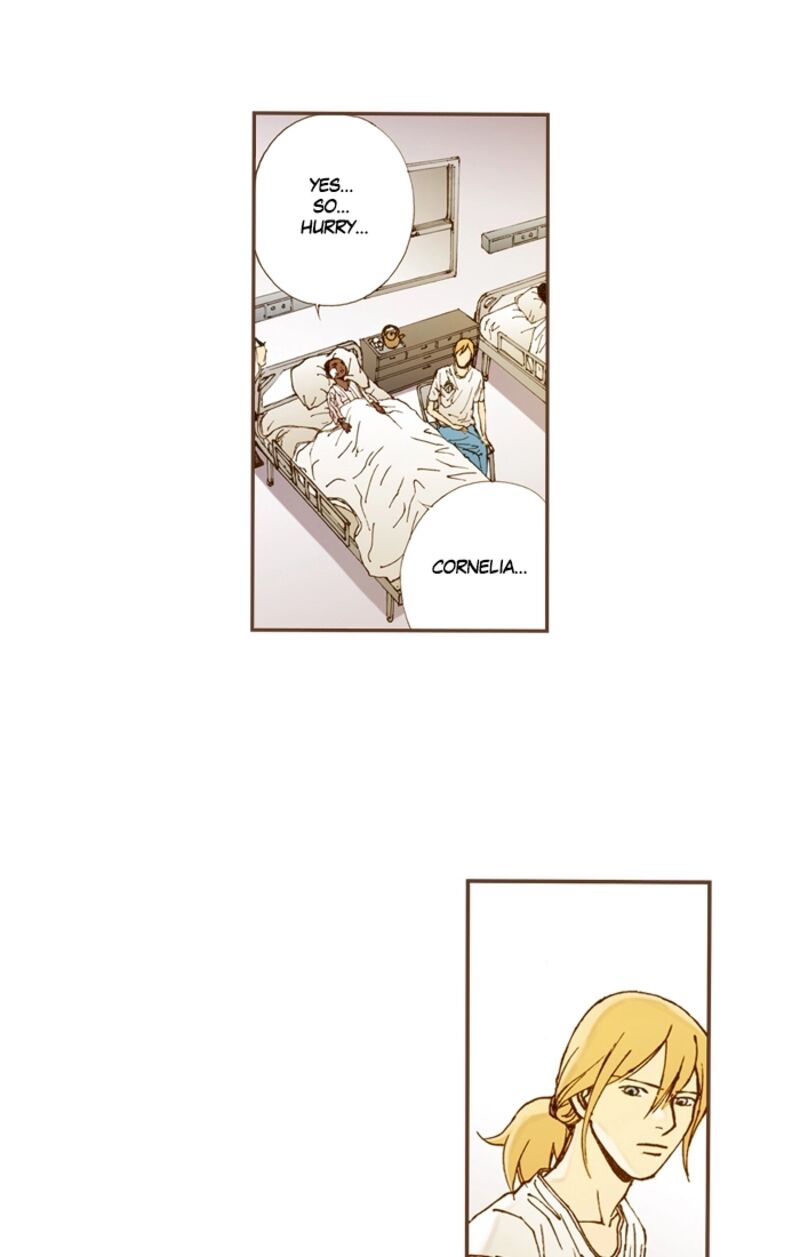 Westwood Vibrato 69 11