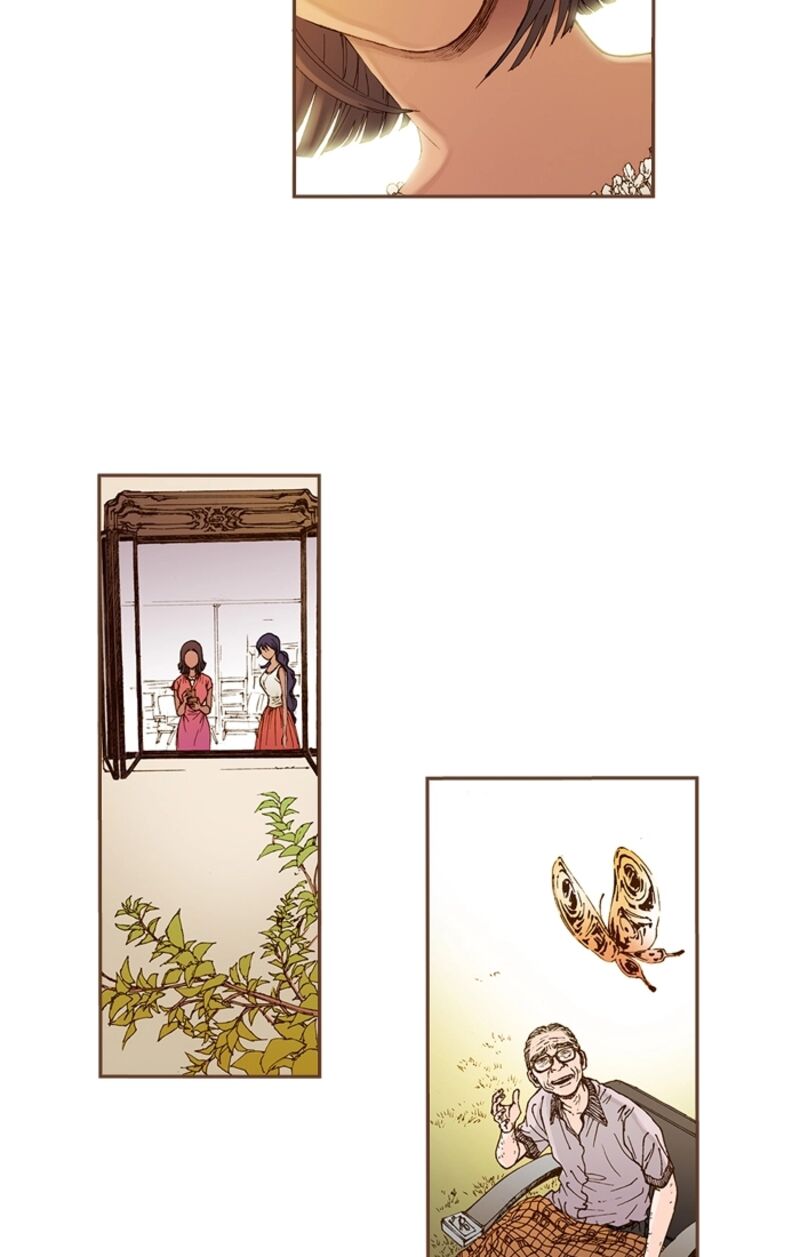 Westwood Vibrato 70 21