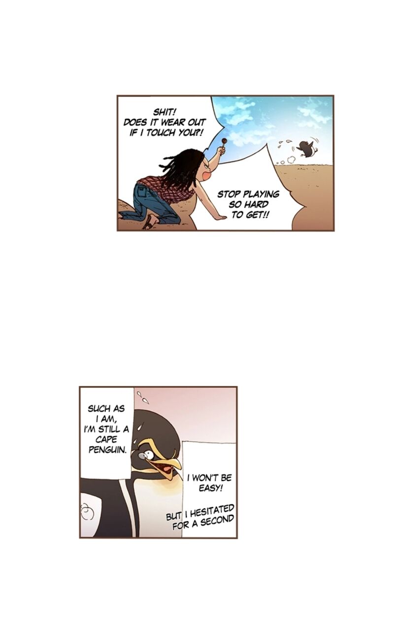 Westwood Vibrato 71 17