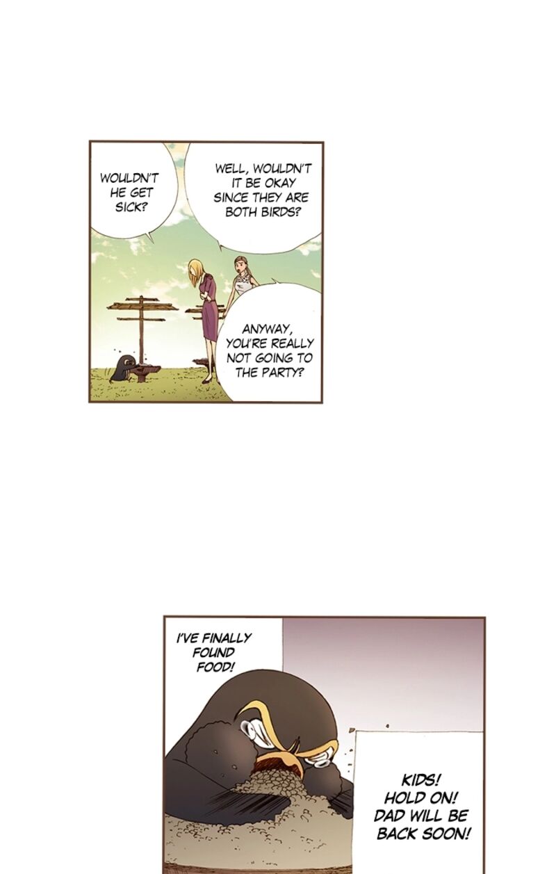 Westwood Vibrato 71 25