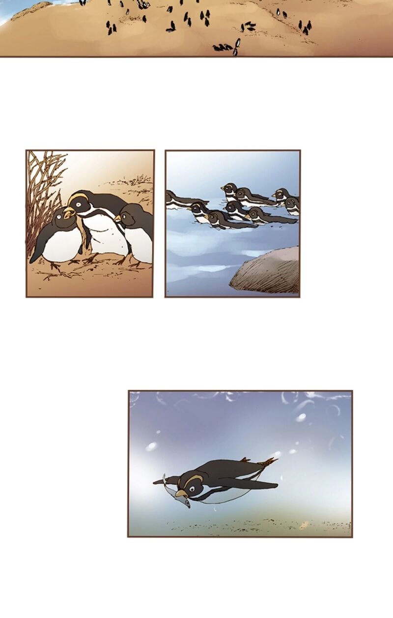 Westwood Vibrato 71 3