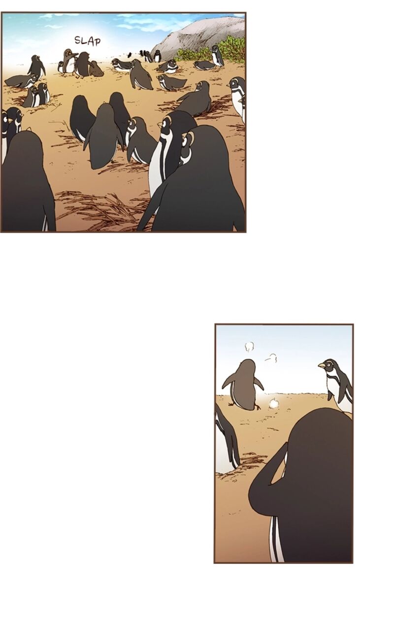 Westwood Vibrato 71 4