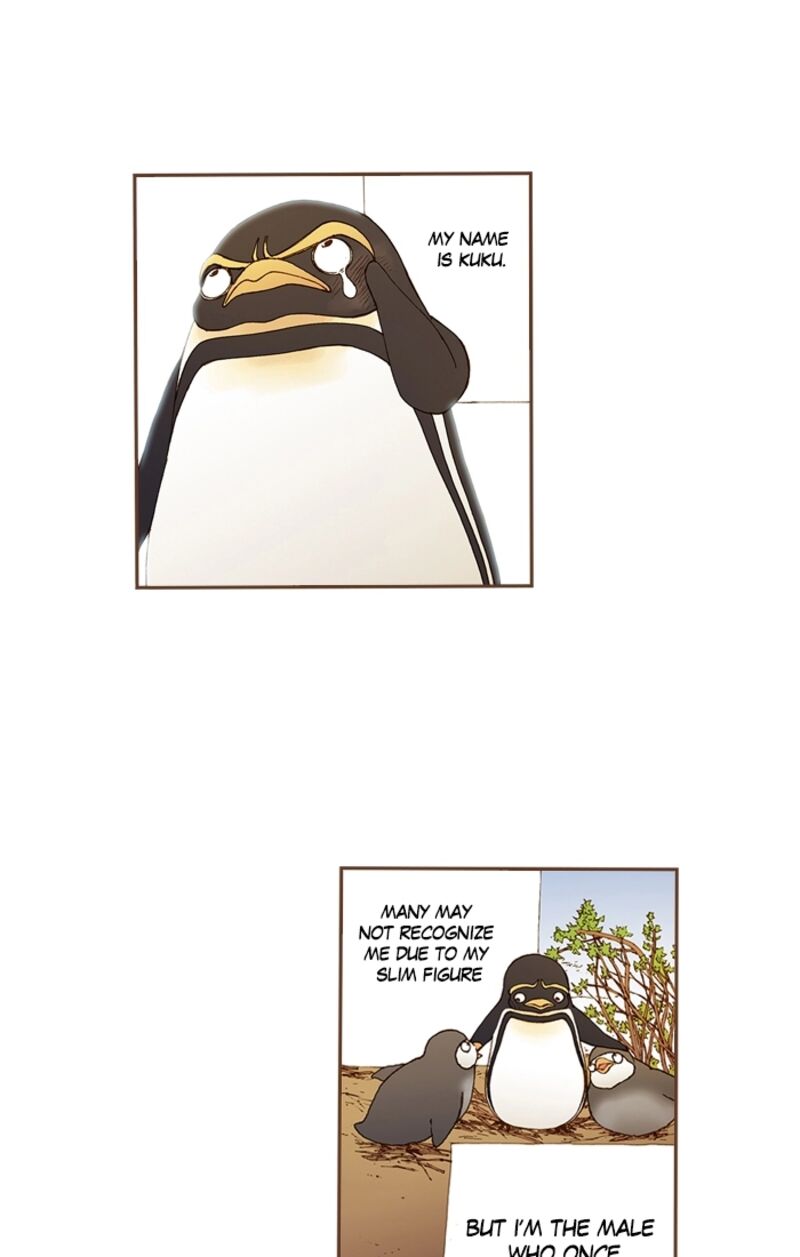 Westwood Vibrato 71 5