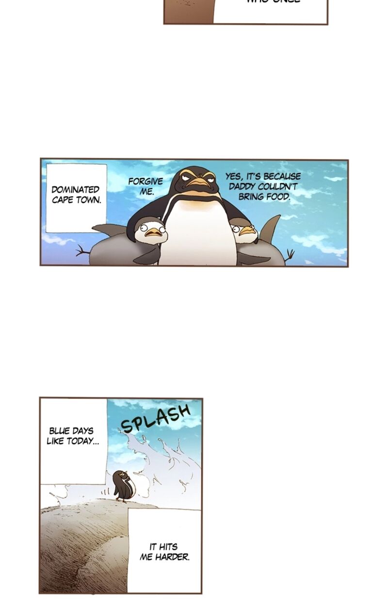 Westwood Vibrato 71 6