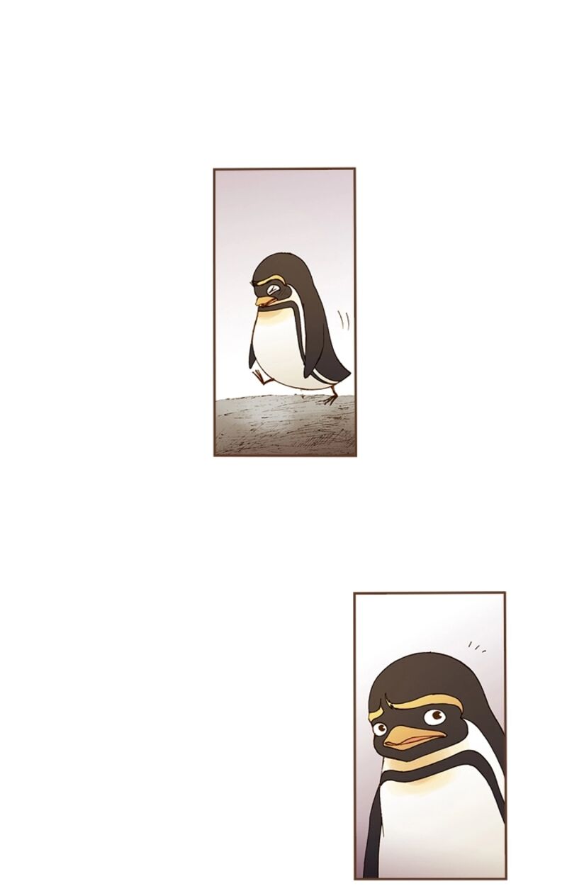 Westwood Vibrato 71 7