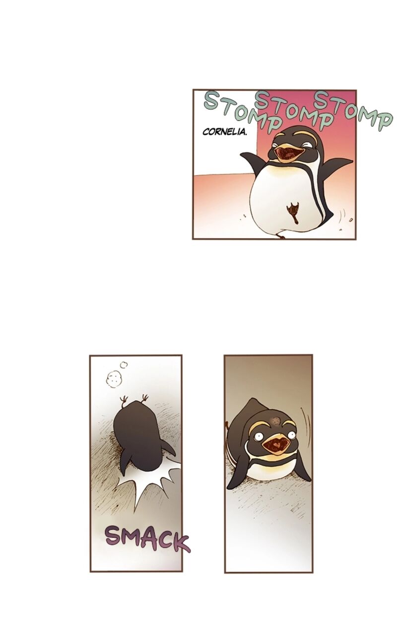 Westwood Vibrato 71 9